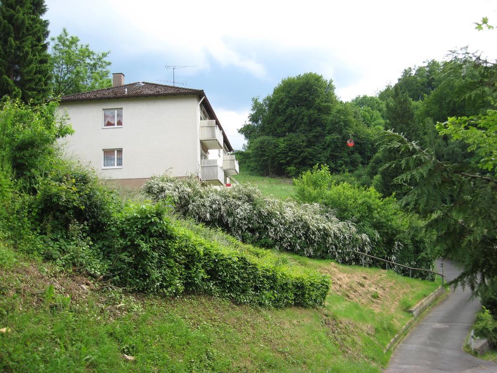 Schlossberg Ferienwohnung Waldeck  Exteriör bild